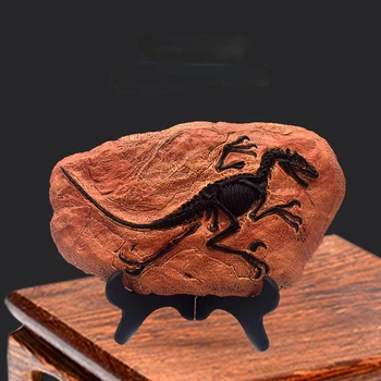 Derva Dinozaurų Iškastinio Figūrėlės Stalo, Namų Dekoravimo Reikmenys Dinozaurų Kaukolės Skulptūra Kambarys Ornamentu Namų Dekoro